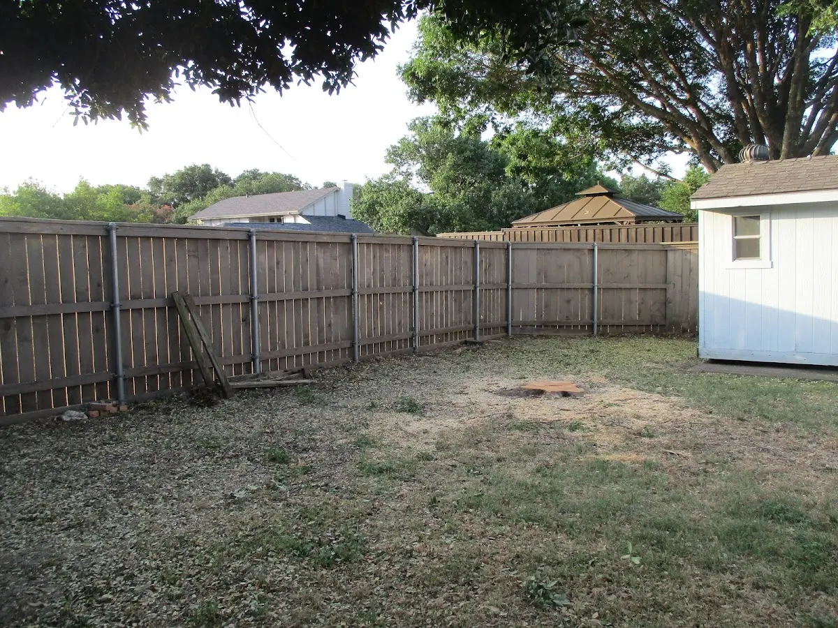 Cleared yard after professional tree removal in Coon Valley