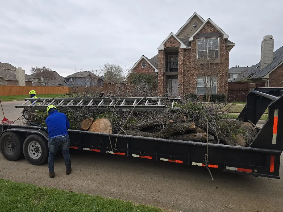 Expert Tree Pest Control with proper safety equipment in Coon Valley
